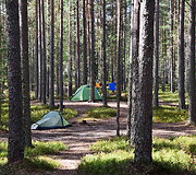 Suomijos nacionalinių parkų gamta