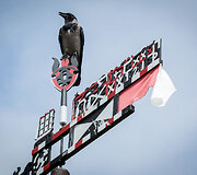 Vėtrungių ekspozicija Nidos krantinėje 