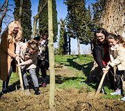 Medžių sodinimas Tiranoje