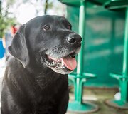 LKA keliautojų klubo Kauno skyriaus organizuota kelionė dviračiais po Juodkalniją