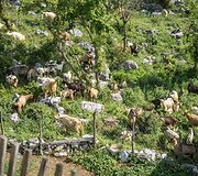 LKA keliautojų klubo Kauno skyriaus organizuota kelionė dviračiais po Juodkalniją