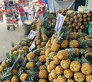Vilnietė Dovilė per karantiną liko Meksikoje