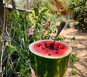 Vilnietė Dovilė per karantiną liko Meksikoje