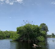 Vilnietė Dovilė per karantiną liko Meksikoje