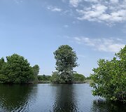 Vilnietė Dovilė per karantiną liko Meksikoje