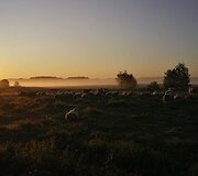Sūrininkė Laima ir jos &scaron;eimos ūkis Varėnos rajone