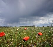 Sūrininkė Laima ir jos &scaron;eimos ūkis Varėnos rajone