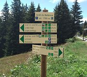 Septyniolikmetės Rugilės kelionė į Monblaną