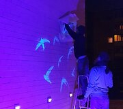 &bdquo;Fluxus Labas! Kiemas&ldquo;. Akademija (Kauno r.)