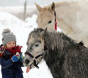  Eglės &scaron;eimos sodyba &bdquo;Ąžuolų vila&ldquo;