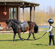  Eglės &scaron;eimos sodyba &bdquo;Ąžuolų vila&ldquo;