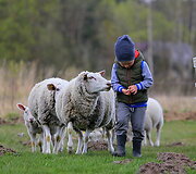  Eglės &scaron;eimos sodyba &bdquo;Ąžuolų vila&ldquo;