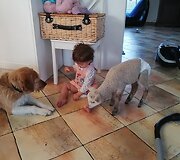 Eglės &scaron;eimos sodyba &bdquo;Ąžuolų vila&ldquo;