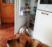 Eglės &scaron;eimos sodyba &bdquo;Ąžuolų vila&ldquo;