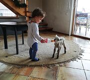 Eglės &scaron;eimos sodyba &bdquo;Ąžuolų vila&ldquo;