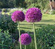 Editos Bucklės &scaron;eimos sodyba 