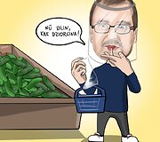 Rivos Elmantės pie&scaron;iniai 