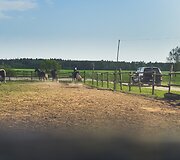 &Scaron;iuolaikiniai darbiniai arkliai ir istoriniai