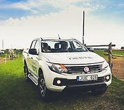 &Scaron;iuolaikiniai darbiniai arkliai ir istoriniai