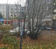 Įvykio vietoje