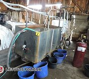 Pareigūnai rado naminukės fabrikėlį