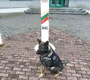 Keturkojis pareigūnas Gėris