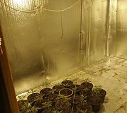 Kanapių laboratorija