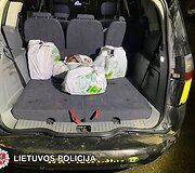 Vagių grupuotės sulaikymas
