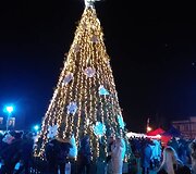 Kalėdų eglė Plungėje 