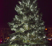 Vilkavi&scaron;kio Kalėdų eglė