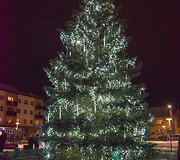 Vilkavi&scaron;kio Kalėdų eglė