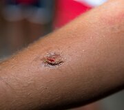 Juodasis &scaron;e&scaron;tadienis &ndash; nusikaltėlių konvejeris