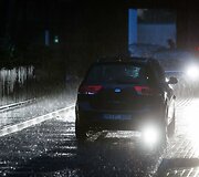 Liūtis Palangoje i&scaron;vaikė žmones i&scaron; koncerto