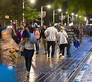 Liūtis Palangoje i&scaron;vaikė žmones i&scaron; koncerto