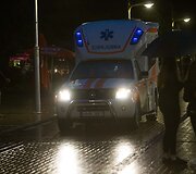 Liūtis Palangoje i&scaron;vaikė žmones i&scaron; koncerto