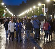 Liūtis Palangoje i&scaron;vaikė žmones i&scaron; koncerto