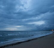 Liūtis Palangoje i&scaron;vaikė žmones i&scaron; koncerto