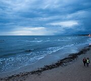 Liūtis Palangoje i&scaron;vaikė žmones i&scaron; koncerto