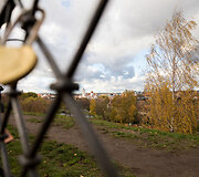 Vilniaus miesto gamta numeta rudeninius lapus