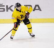 Ledo ritulys: Lietuva - Japonija
