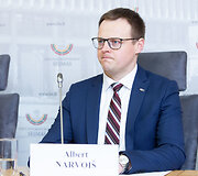 Albert Narvoi&scaron;