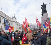 Kovo 11-osios Patriotinės eitynės: Vyčio grąžinimas