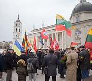 Kovo 11-osios Patriotinės eitynės: Vyčio grąžinimas