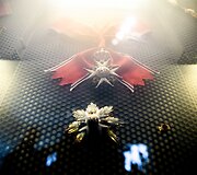 Užsienio &scaron;alių auk&scaron;čiausių valstybinių apdovanojimų ekspozicija
