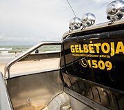 Palangos pajūris po naktinės liūties
