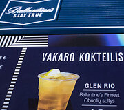 Vakarėlio akimirka