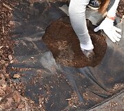 Aplinkotvarkos iniciatyva &bdquo;Žydinčios svajonės&ldquo; Panevėžio pataisos namuose