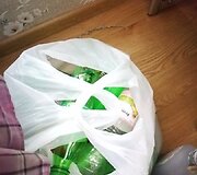 &Scaron;iaulių pareigūnai demaskavo &bdquo;greitosios pagalbos&ldquo; ta&scaron;ką Kur&scaron;ėnuose