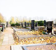 Naujamiesčio kapinės