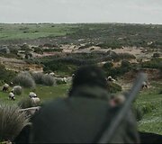Kadras i&scaron; filmo &bdquo;Brolystė&ldquo;